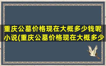 重庆公墓价格现在大概多少钱呢 小说(重庆公墓价格现在大概多少钱呢)